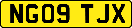 NG09TJX