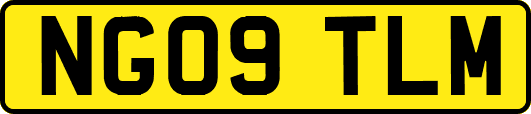 NG09TLM