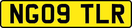 NG09TLR