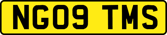 NG09TMS