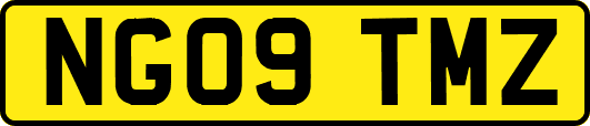 NG09TMZ