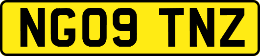 NG09TNZ