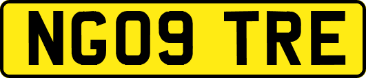 NG09TRE