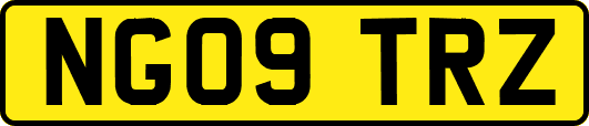 NG09TRZ