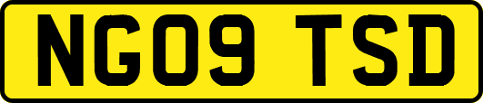 NG09TSD