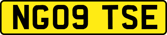 NG09TSE