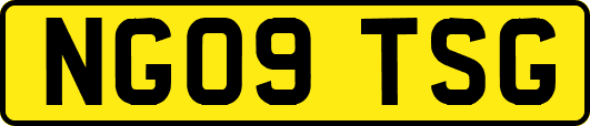 NG09TSG