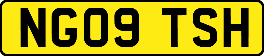 NG09TSH