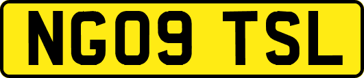 NG09TSL