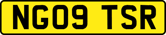 NG09TSR