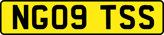 NG09TSS