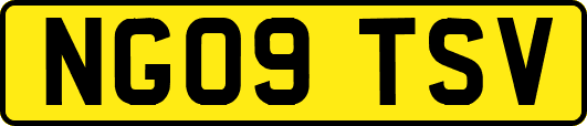 NG09TSV