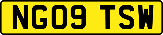 NG09TSW