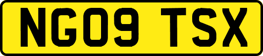 NG09TSX
