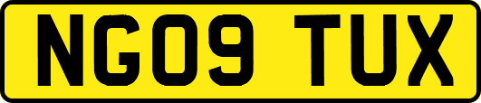 NG09TUX