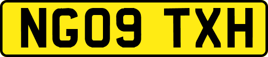 NG09TXH