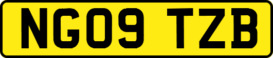 NG09TZB