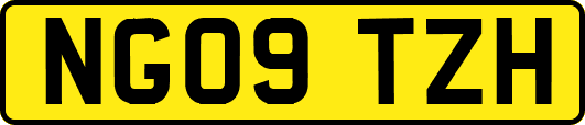 NG09TZH