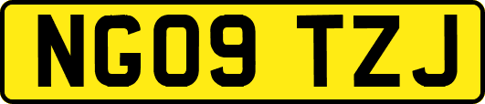 NG09TZJ