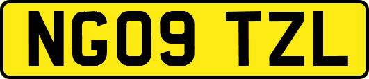 NG09TZL
