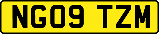 NG09TZM