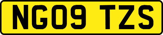 NG09TZS