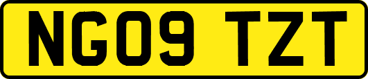 NG09TZT