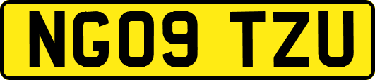 NG09TZU