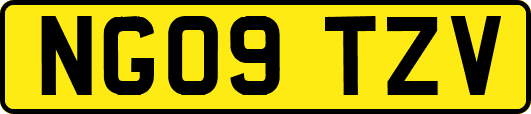 NG09TZV