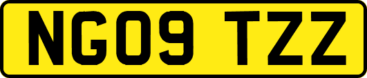 NG09TZZ