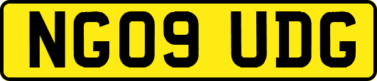 NG09UDG