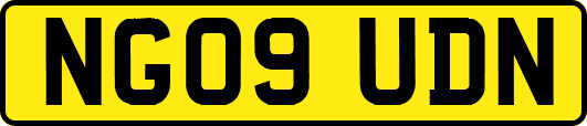 NG09UDN