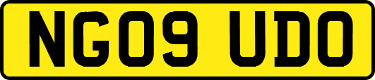 NG09UDO
