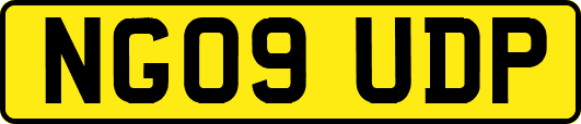 NG09UDP