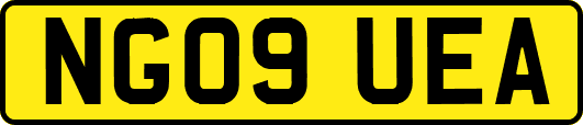 NG09UEA