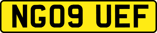 NG09UEF