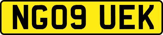 NG09UEK