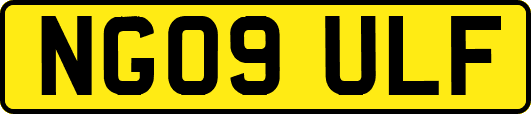 NG09ULF