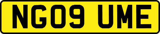 NG09UME