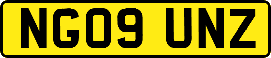NG09UNZ