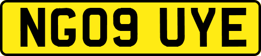 NG09UYE