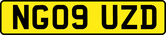 NG09UZD
