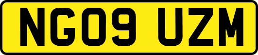 NG09UZM
