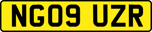 NG09UZR