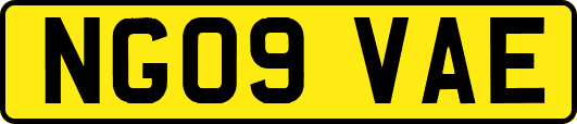 NG09VAE