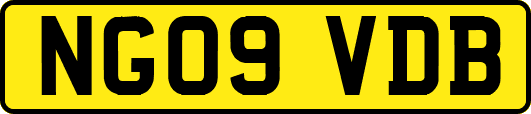 NG09VDB