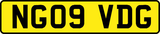 NG09VDG