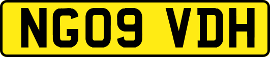 NG09VDH