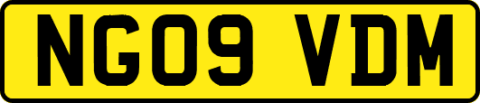 NG09VDM