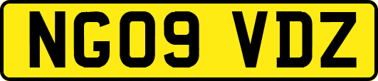 NG09VDZ